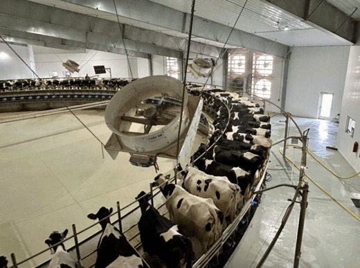 5 Ways Nex-Tech Fiber Sustains McCarty Family Farms